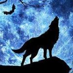 Profilbild von RAMYBOY