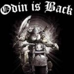 Profilbild von 11036395