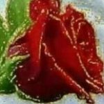 Profilbild von 11167445