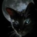 Profilbild von Cat82