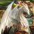 Profilbild von White Dragon
