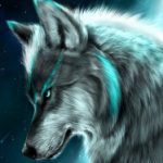 Profilbild von 23462201