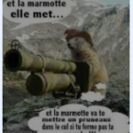 Illustration du profil de Marmotte s43