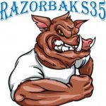 Illustration du profil de Razorbak S35