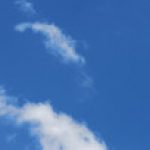 Illustration du profil de 21591912