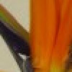 Illustration du profil de 22531849