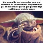 Illustration du profil de 29497100