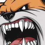 Illustration du profil de 44828090