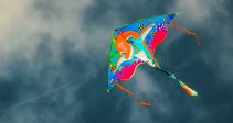 Guide – Kite Carnival