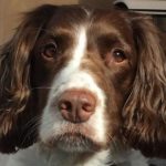 Profile picture of Pops