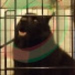 Profile picture of 41009331