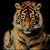 Profile picture of TigermaN