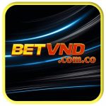 Profile picture of BETVND