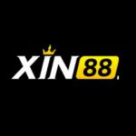 Profile picture of xin88