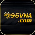 Profile picture of 95vnacom