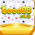 Profile picture of good88coin