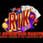 Profile picture of 44716566