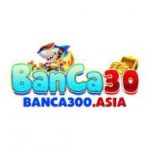 Profile picture of banca300.asia