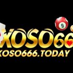 Profile picture of 44729875