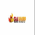 Profile picture of GAVN99