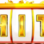 Profile picture of 45676156