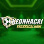 Profile picture of 46182995