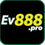 Profile picture of 46453559