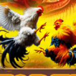 Profile picture of 46610743