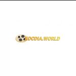 Profile picture of 47110607