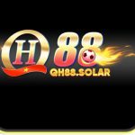 Profile picture of 47144721