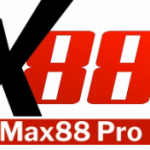 Profile picture of 47154022