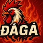 Profile picture of 47222200