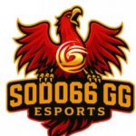 Profile picture of 47234015