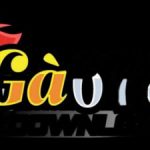 Profile picture of 47238785