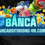 Profile picture of 47274864