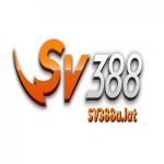 Profile picture of Sv388