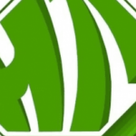 Profile picture of 47333585