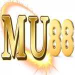 Profile picture of 47347355