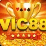 Profile picture of 47360550