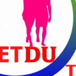 Profile picture of Công Ty TNHH Du Lịch Việt Du chuyên cung cấp cẩm nang du lịch trong nước với nhiều thông tin hữu ích, chia sẻ mẹo và kinh nghiệm cho chuyến đi, giúp du khách có hành trình thuận lợi và thú vị.