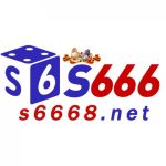 Profile picture of 47467762