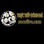 Profile picture of 47472101