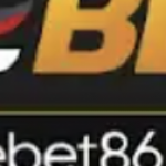 Profile picture of 47648689