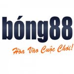 Profile picture of 47659110