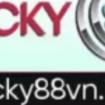 Profile picture of 47687100