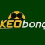 Profile picture of 47812084