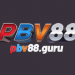 Profile picture of 47921771