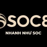 Profile picture of 47954631