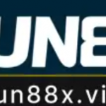 Profile picture of 48075638