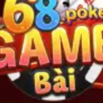 Profile picture of 48078341
